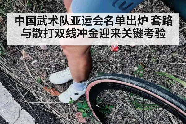 中国武术队亚运会名单出炉 套路与散打双线冲金迎来关键考验